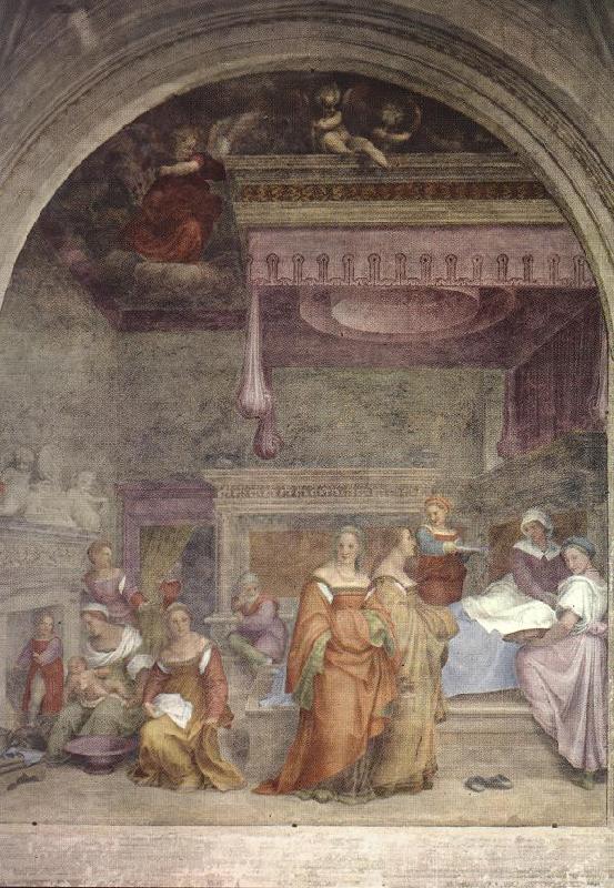 Andrea del Sarto Birth of the Virgin  gfg oil painting picture